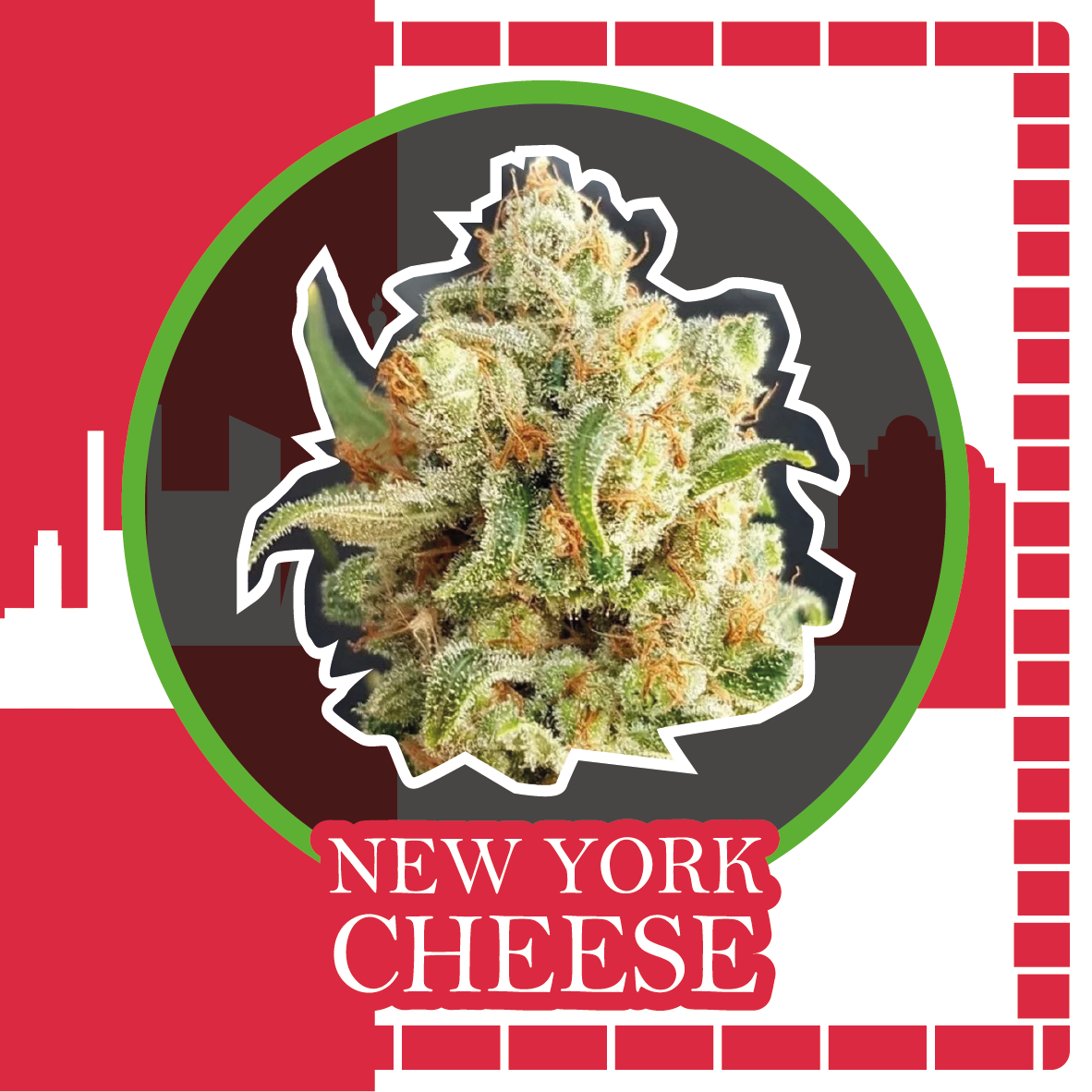 NEW YORK CHEESE AUTO – Delirium Seeds